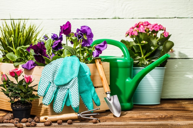 Gardening tools and flowers on the terrace in the garden