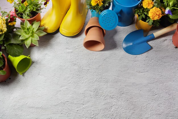 Gardening tools, flowers and watering can on pavement. Spring garden works concept. Layout with free space captured from above. Top view, flat lay.