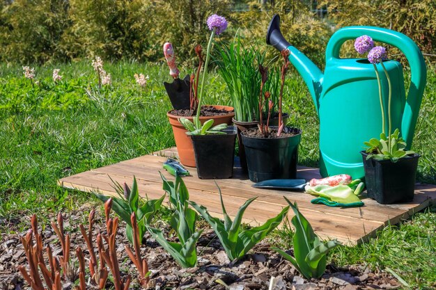 Gardening tools and flowers on wooden background