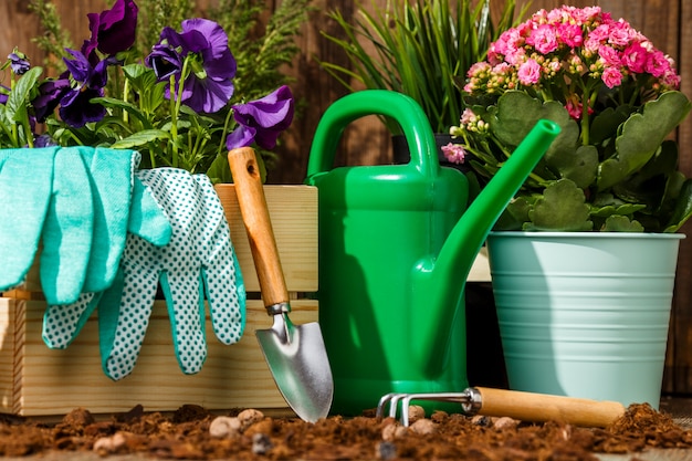 Gardening tools and flowers