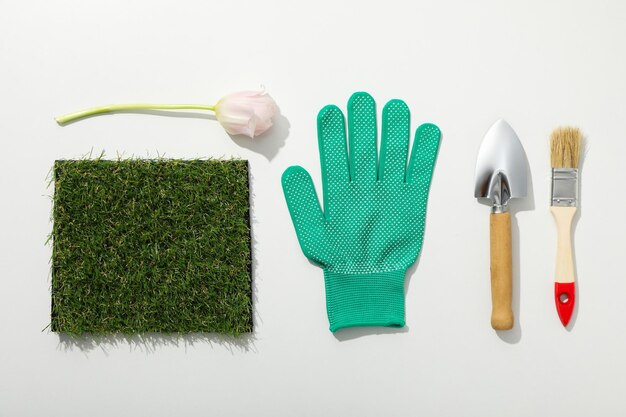 Gardening tools grass tulip and glove on white background top view