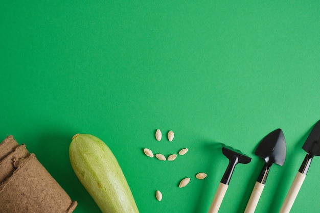 Gardening tools on green background. small shovels and rakes for planting seedlings and indoor plants, zucchini and zucchini change on a green background