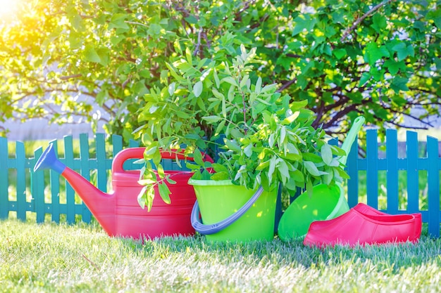 Gardening tools on the green grass in the garden. 