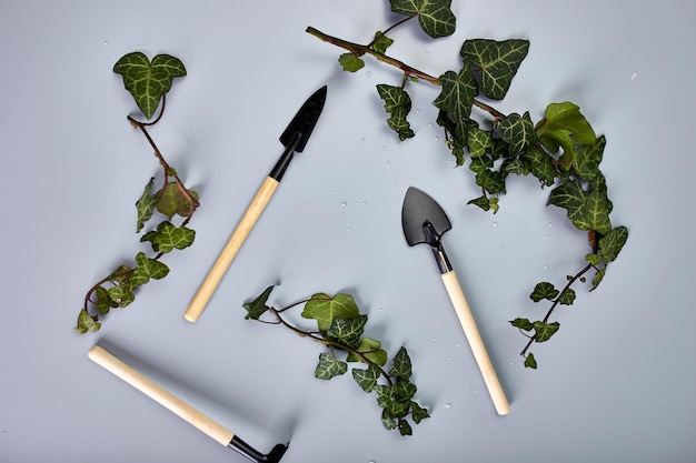 Gardening tools and green leaves on grey background