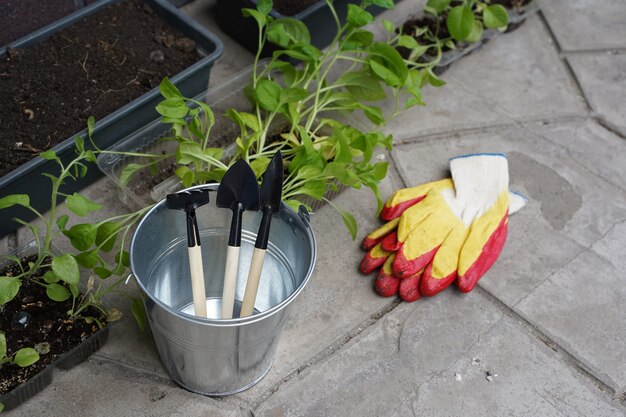 園芸工具や植物、春と夏は庭で働きます。高品質の写真