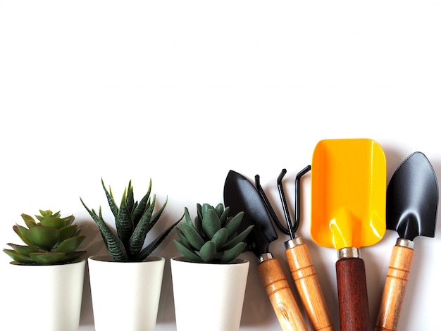 Gardening tools set with shovel, spade and cactus in pot isolated with copy space.