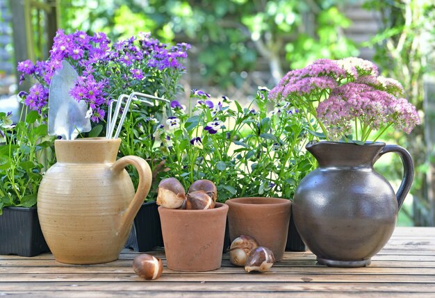 Gardening tools in a water jug placed with others on a table with flowers and bulbs in garden