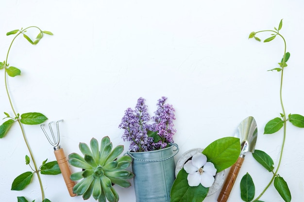 Gardening tools on white background with copy space