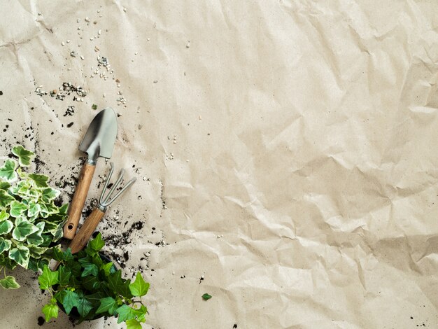 Gardening tools with plants in pots on rumpled craft paper top view