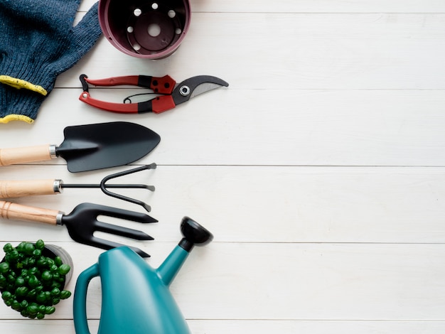 Gardening tools on wooden background.