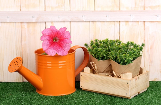 Gardening tools on wooden background