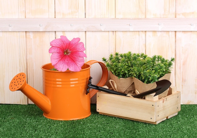 Gardening tools on wooden background