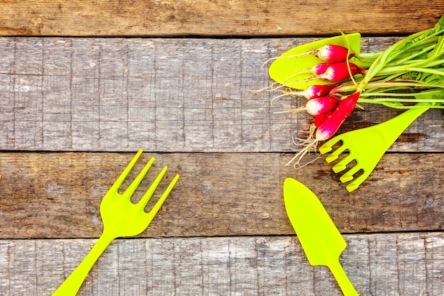 Gardening Tools on wooden background