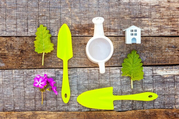 Gardening tools on wooden background