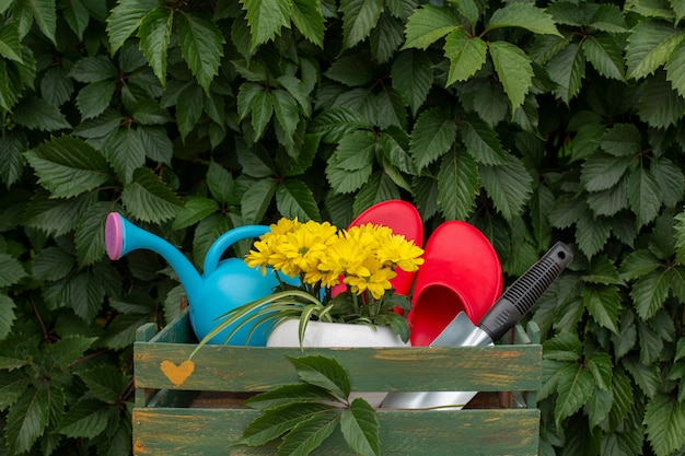 Photo gardening. work in the garden. tools, watering can and flower in a pot on a background of green leaves.