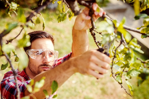 Gardening