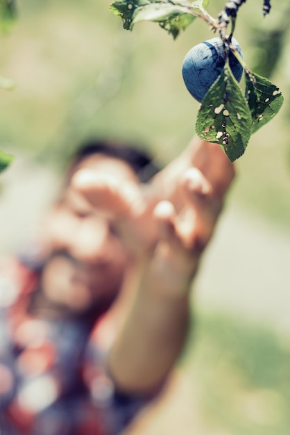 Gardening