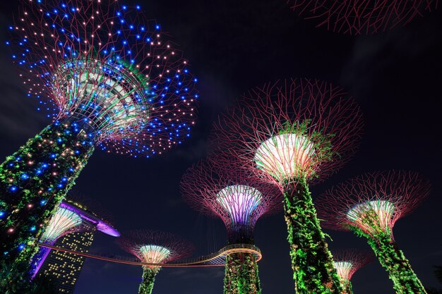 Gardens by the bay at night, Singapore