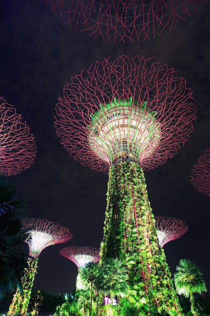 Foto giardini della baia di notte, singapore