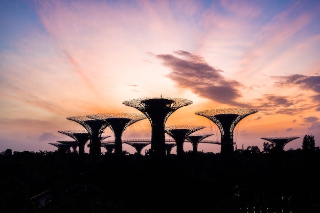 Gardens by the Bay - Singapore