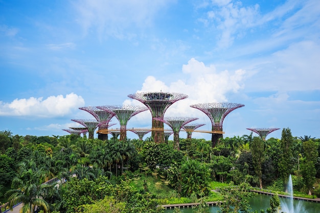 Photo gardens by the bay at singapore