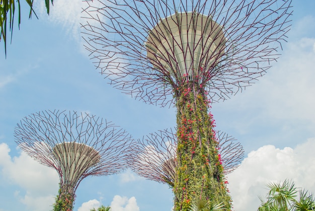 Gardens by the Bay Supertree