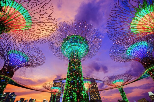 Gardens by the bay at twilight, singapore