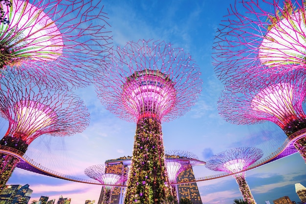 gardens by the bay at twilight time, singapore 
