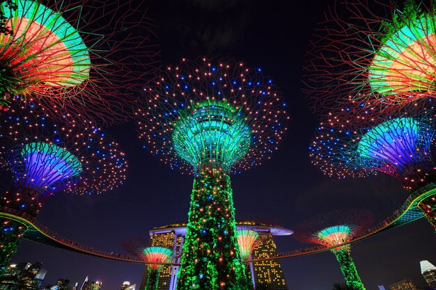 夜の光で湾の庭園、シンガポール