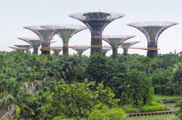 Photo gardens by the bay