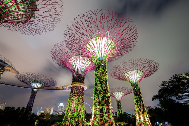 Gardens by the Bay