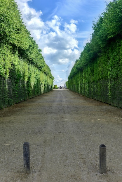 Gardens of the famous Palace of Versailles in France