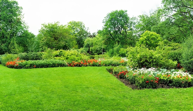 Premium AI Image | Gardens flower beds green plants parks lawns AI ...