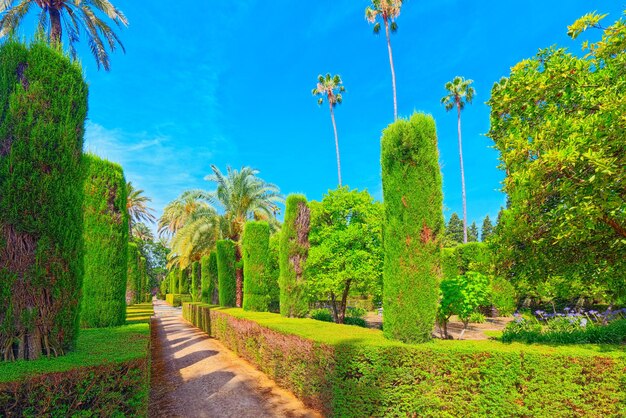 Foto giardini dell'alcazar reale di siviglia e galleria della grotta galeria