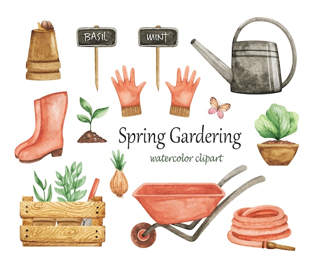 Gardering clipart aquarel, tuingereedschap set, lentetuin elementen, kruiwagen, gieter