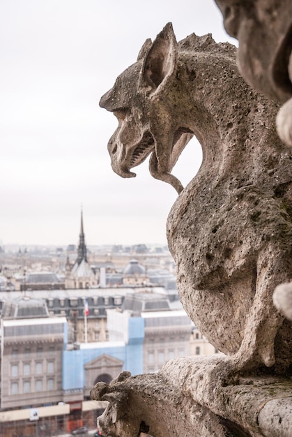 Gargoyle bij richelmuur in kerk Not-re Dame in Parijs