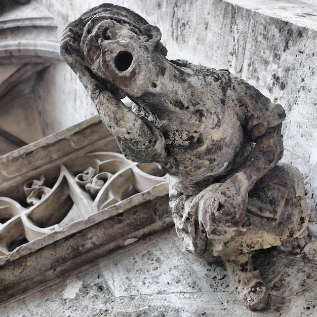 Foto gargoyle op het stadhuis in münchen