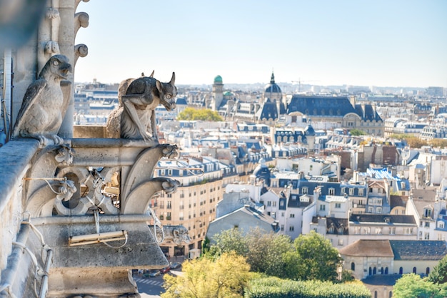 フランスのノートルダム大聖堂のガーゴイル像