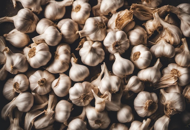 Garlic background