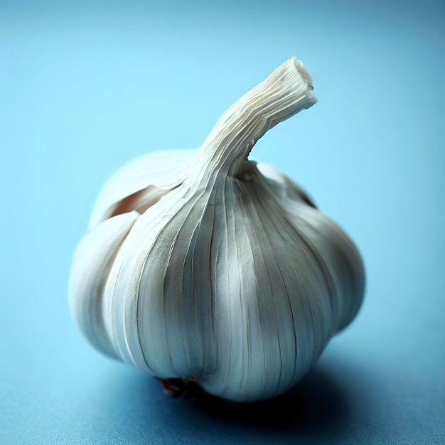 Garlic on the blue background