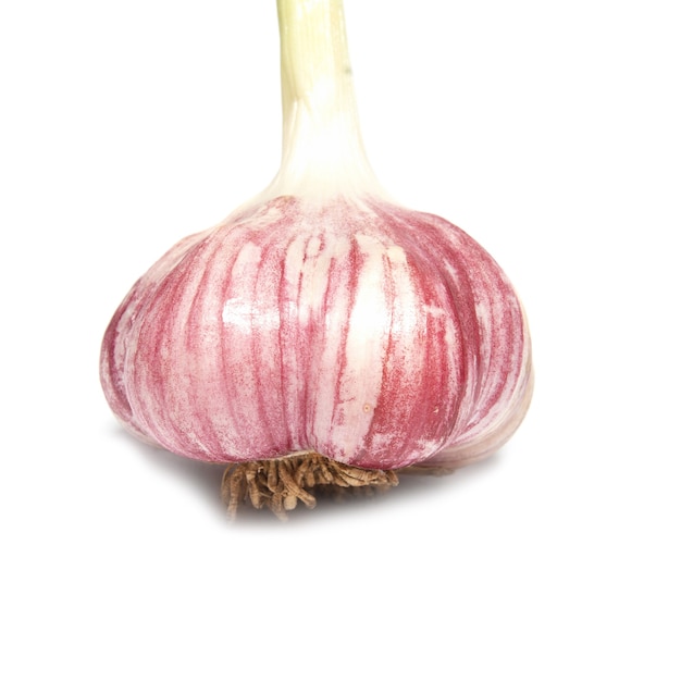 Garlic bulb clove isolated