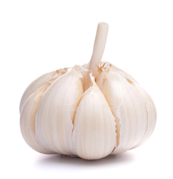 Garlic bulb