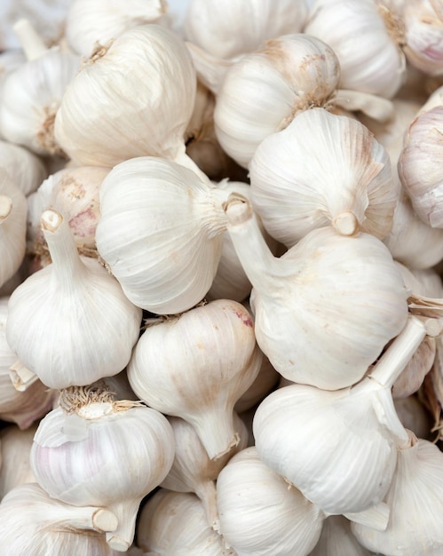 Garlic bulbs in the market ideal for backgrounds