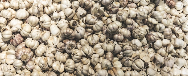 Garlic bulbs top view background Selective focus