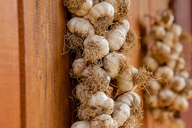 Garlic bunch