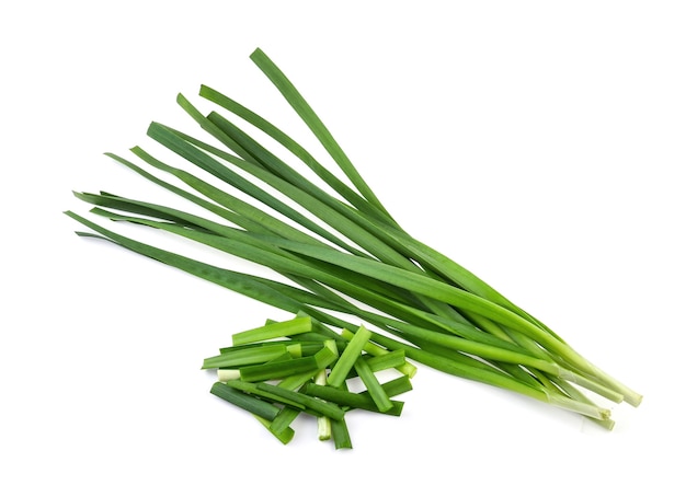 Garlic chives isolaed