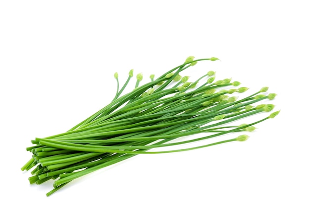 Garlic chives isolated on white background