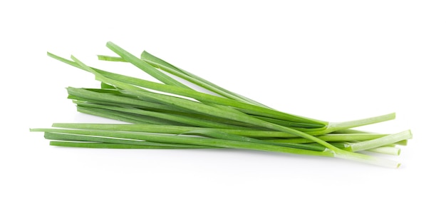 Garlic chives isolated on white surface