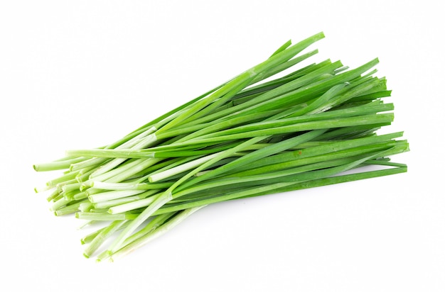 Garlic chives isolated on white