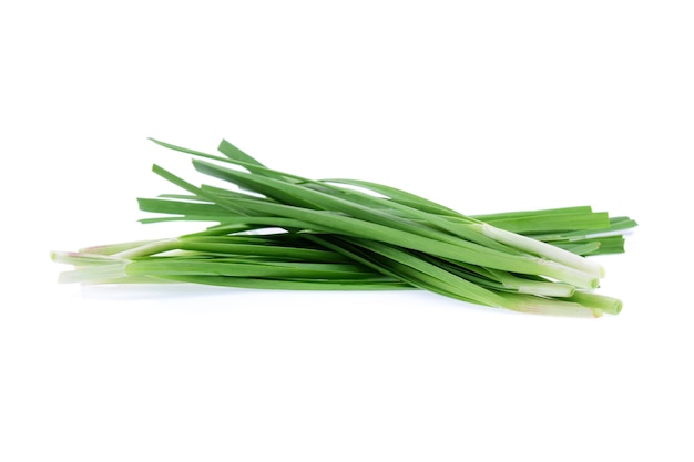 Garlic chives isolated on white